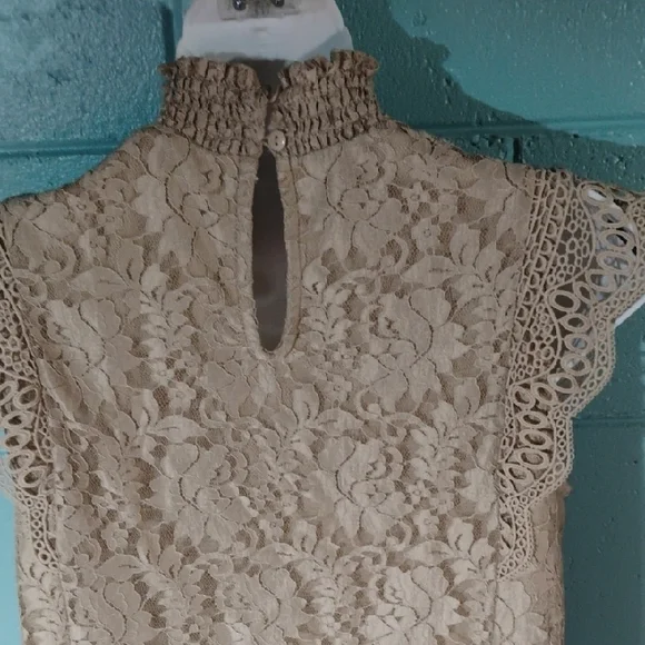 Cable & Gauge Beige Lace Sleeveless Blouse Size Small. - Picture 7 of 9